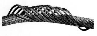 Fuglerede wire